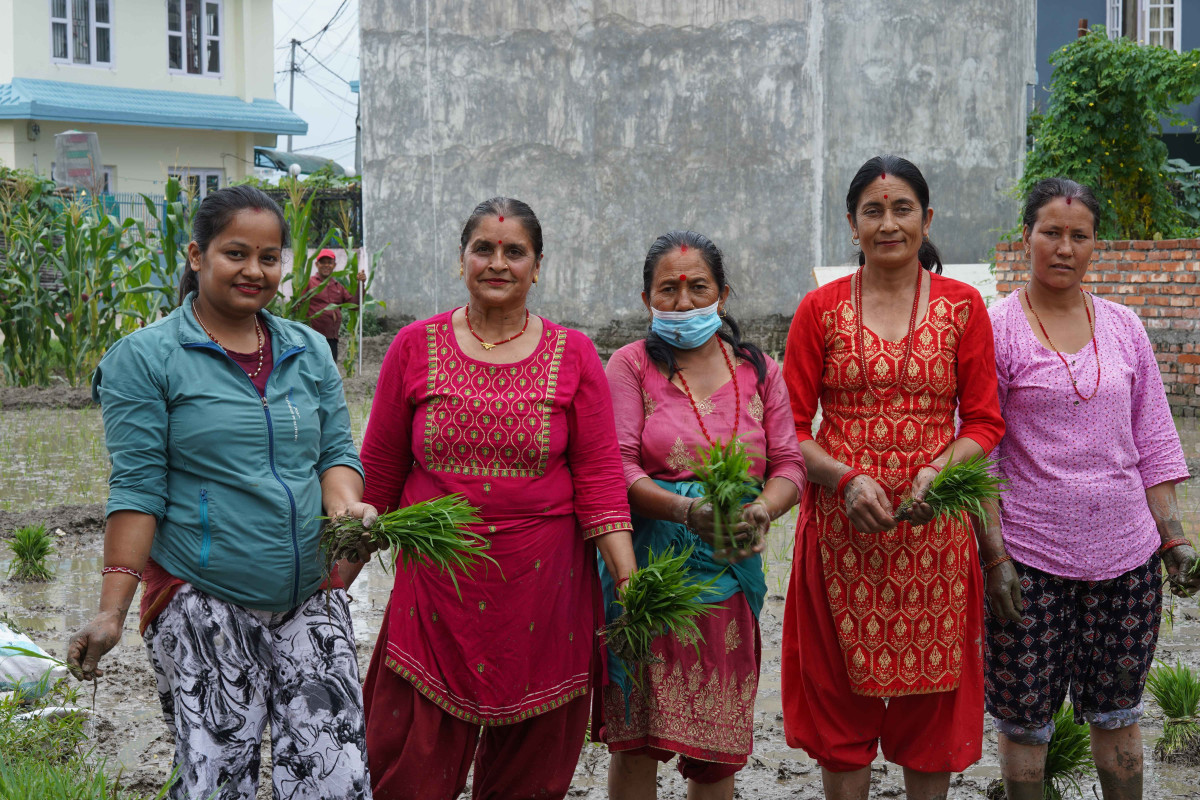 आज धान दिवस अनि दही चिउरा खाने दिन पनि